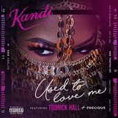Used To Love Me (feat. Todrick Hall & Precious) artwork