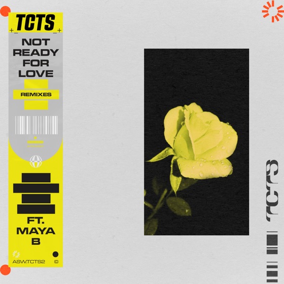 Cover artwork for Not Ready for Love (feat. Maya B)