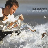 Rob Dickinson - My Name Is Love