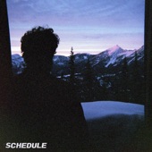 Post Animal - Schedule