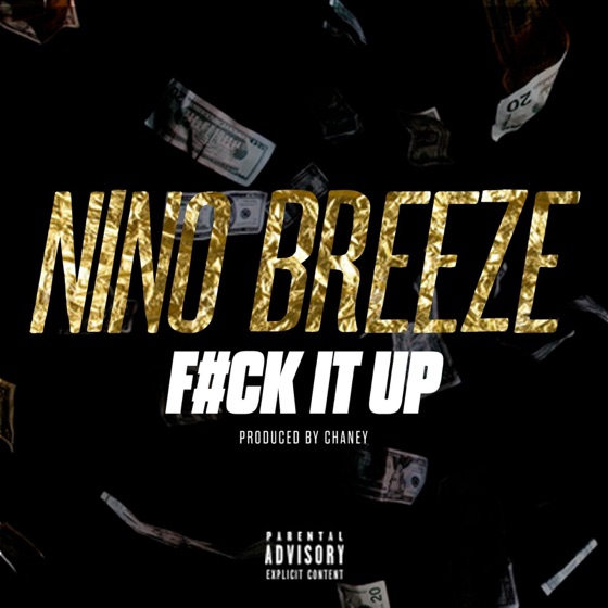 Cover artwork for Fuck It Up (F.I.U.)