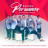 Mix Éxitos Peruanos: ( Te Vas / Quien Cura / A Llorar a Otra Parte / El Ritmo De Mi Corazón) artwork