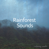 Relaxing Music - Rainforest Sounds for Massage and Studying artwork