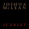 Perch - Joshua McLean lyrics