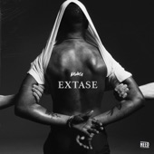 Extase artwork