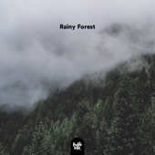 Rainy Forest by Pueblo Vista