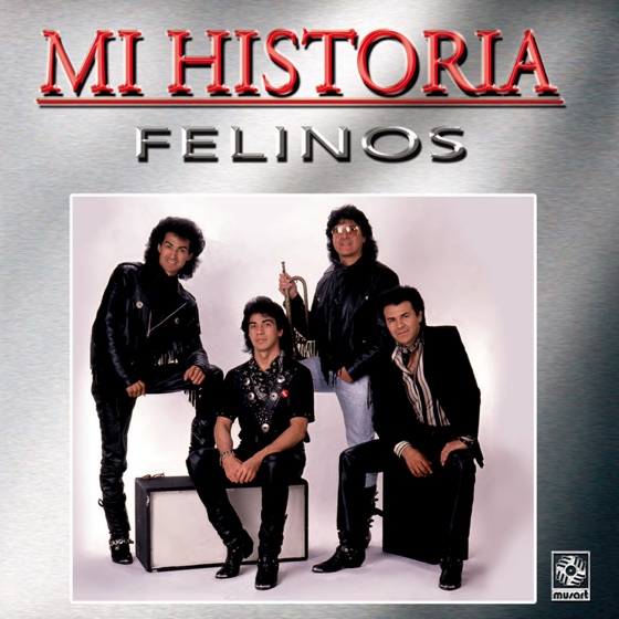 Cover artwork for Lápiz Labial