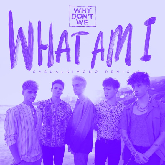 Cover artwork for What Am I (Casualkimono Remix)