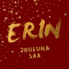 Erin - Jouluna saa (Vain elämää joulu)
