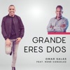 Grande Eres Dios - Single