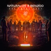 Naturalize - One Among Many