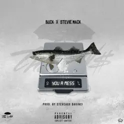 You a Mess - Single - Buck You a Mess - Single - Buck