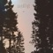 Samling - Oändligt lyrics