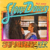 Slow Down (feat. H.E.R.) [P2J Remix] artwork