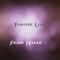 Colors of My Dreams - Frank Harris lyrics