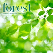 アイソトニック・サウンド Forest〜森の音で眠りたい - EP artwork