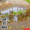 I Can't See Much