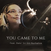 You Came to Me (feat. Dato' Sri Siti Nurhaliza) artwork