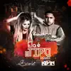 Ela É do Tipo (Remix) [feat. MC Kevin O Chris] - Single album lyrics, reviews, download