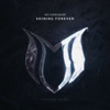 Shining Forever - Single