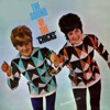 The Chicks - I Don't Want to Spoil the Party