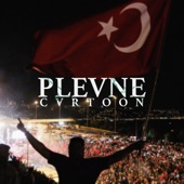 Plevne artwork