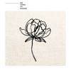 En säng av rosor by Darin iTunes Track 1