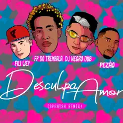 Desculpa Amor (NegroDub & Fili Wey Remix) [feat. Pezão] - Single - Fili Wey