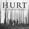 Hurt (feat. Adam Chance) - The Hound + The Fox lyrics