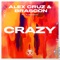 Crazy (feat. Rubenson) artwork