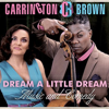 Steuerberater Blues (Live) - Carrington Brown