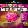 Tibetan Singing Bowl Meditation Music album lyrics, reviews, download