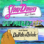 Slow Down (feat. H.E.R., DaVido & Oxlade) [P2J Remix] artwork