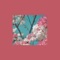 Blossom - Photik lyrics