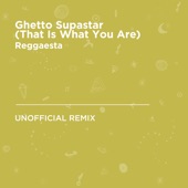 Ghetto Supastar (That Is What You Are) [Pras, Mya & Ol' Dirty Bastard] [Reggaesta Unofficial Remix] artwork