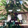 Story of My Life - Single