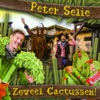 Zoveel Cactussen! - Single