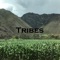 Tribes - Ginos lyrics