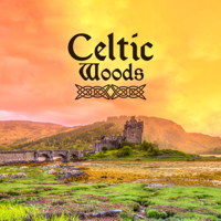 Natural Healing Music Zone & Celtic Chillout Relaxation Academy - Celtic Woods: Enchanted Relaxing Music, Celtic Meditation, Beautiful Guitar, Harp, Flute artwork