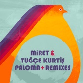 Paloma (Roderic Remix) artwork