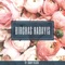 Birchas Habayis - Danny Palgon lyrics