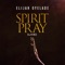 Spirit Pray (Live) artwork
