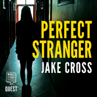 Jake Cross - Perfect Stranger artwork