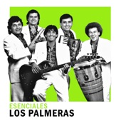 La Cumbia del Maderero artwork