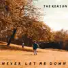 Never Let Me Down - Single album lyrics, reviews, download