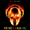 Peine Caracol 2 by El Futuro Fuera De Orbita iTunes Track 1