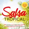 Salsa Tropical, Vol. 2 (Best of Hot Latin Summer Hits)