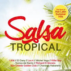 Salsa Tropical, Vol. 2 (Best of Hot Latin Summer Hits) by Various Artists album reviews, ratings, credits