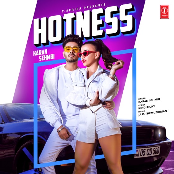 Cover artwork for Hotness