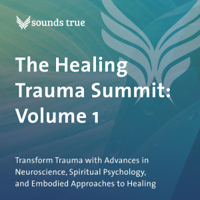 Peter A. Levine, Ph.D., Judith Blackstone, PhD, Zainab Salbi, Dawson Church & Elizabeth Rosner - The Healing Trauma Summit: Volume 1: Transform Trauma with Advances in Neuroscience, Spiritual Psychology, and Embodied Approaches to Healing (Original Recording) artwork